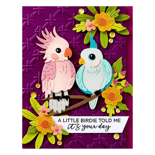 Spellbinders Clear Stamp Set From Cheerful Chirps-Spread Your Wings Sentiments - 5A0032M2-1H49W