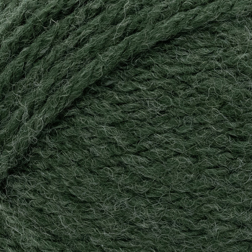 3 Pack - Lion Brand Hue & Me Yarn-Night Forest - 617-1GHP7