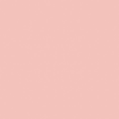 25 Pack - Feels Like Home Double-Sided Cardstock 12"X12"-Dark Pink/ Light Pink - 5A0033XR-1H5M7 25 Pack - Feels Like Home Double-Sided Cardstock 12"X12"-Dark Pink/ Light Pink - 5A0033XR-1H5M7