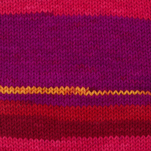 Premier Basix Trendy Yarn-Salsa - 5A0034GQ-1H64P Premier Basix Trendy Yarn-Salsa - 5A0034GQ-1H64P
