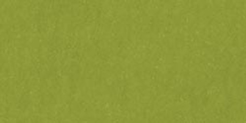 25 Pack - American Crafts Smooth Cardstock 12"X12"-Leaf - AM71-781 - 718813717816 25 Pack - American Crafts Smooth Cardstock 12"X12"-Leaf - AM71-781 - 718813717816