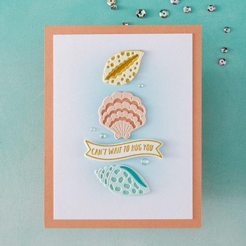 Hero Arts Die Set-Sophisticated Shells - 5A00352Z-1H6K4