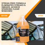 Concentrated Auto Glass Cleaner
