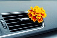 Car Air Fresheners Guaranteed to Make your Car Interior Smell New