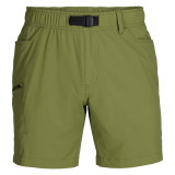 Ferrosi Shorts 7in