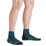 Hiker 1/4 Length Socks - Past Season Colours