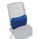 Aeros Premium Lumbar Support