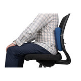 Aeros Premium Lumbar Support