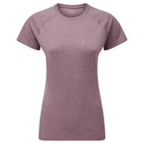Womens Dart T-Shirt - Past Season Colours