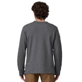 Patagonia Lightweight Unity Fitz Wildrise Crew - Past Season Colours 