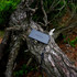Zero Power Energy Bank