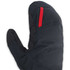 Mt. Baker II Gore-Tex Mitts