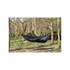 DD Superlight Hammock Mosquito Net