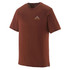 Capilene Cool Merino Graphic Shirt