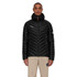 2023 Broad Peak IN Hooded Jacket