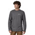 Patagonia Lightweight Unity Fitz Wildrise Crew - Past Season Colours 