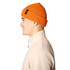 Perimeter Rolled Beanie