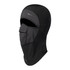 Balaclava Arctic WS