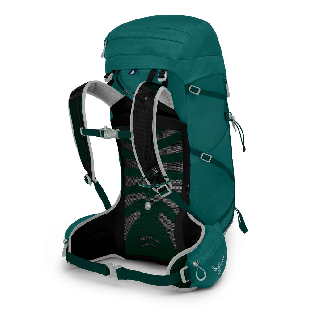 卸し売り購入 Osprey Women's Tempest Hiking Backpack, Jasper Green, Medium Large 