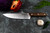 Due Cigni 1896 Chef's Knife 20cm