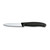 Victorinox Swiss Classic Paring Knife
