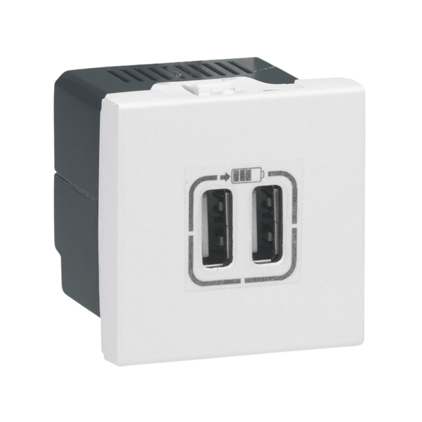 Legrand Arteor USB power supply charger Arteor - double USB sockets - 5 V - 3 A - 2 modules لقمة شاحن 2 مخرج ارتيور 5 فولت  USB