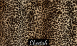 Cheetah - Blanket
