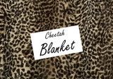 Cheetah - Blanket