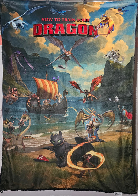 ARTISAN DISCOUNT! The DRAGONS OF BERK, X-Large Minky Blanket. Black on Back. (54"x70")G&R