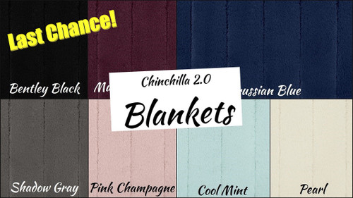 Chinchilla 2.0 - Blanket