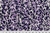 A Lavender JAGUAR  Large Throw Blanket. (50"x60" )