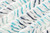 ZEBRA Travel Blankets. (44"x 60")