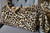 A Leopard Print BIG CAT Travel Blanket. (43"x60")