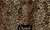 Cheetah - Blanket
