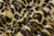 BIG CAT Leopard Print Travel Blanket. (44"x60")
