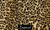 BIG CAT Leopard Print Travel Blanket. (44"x60")