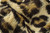BIG CAT Leopard Print Travel Blanket. (44"x60")