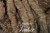 WINTERBOURNE Weighted Blankets