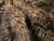WINTERBOURNE Weighted Blankets