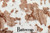 Western Edit - Travel Blanket