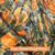 A 60"x60" CAMOUFLAGE Blanket, color is Orange Timber. w/the "GATOR" Minky back. *DEAL