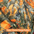 A 28"x28" CAMOUFLAGE Blanket, color is Orange Timber. w/the "GATOR" Minky back. *DEAL