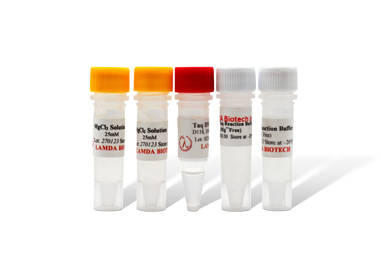 その他 taq Taq DNA Polymerase - Molecular Designs Life Science Products