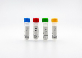 dNTP Set D107, 4 x 400ul, 100mM each dATP dCTP dGTP dTTP, nuclease-free deoxynucleotide triphosphates for PCR and sequencing