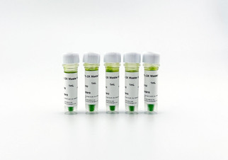 Pfu 2X PCR Master Mix, 5 x 1000ul, high-fidelity Pfu polymerase master mix with blue and yellow tracking dyes, blunt-end PCR products for cloning and sequencing