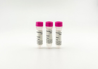 Proteinase K solution DB0451, 3ml, ready-to-use broad-spectrum serine protease for DNA RNA isolation and nucleic acid purification, active pH 4-12.5