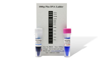 100 bp Plus DNA Ladder (M111) -- 13 fragments, 100-3000bp range, enhanced 500bp and 1500bp reference bands. 30ng minimum per band, ready-to-use. 1000ul.