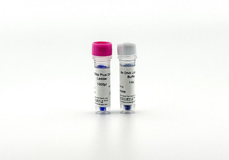 100 bp Plus DNA Ladder M111, 1000ul, 13 fragments 100-3000bp, enhanced 500bp and 1500bp reference bands, ready-to-use DNA molecular weight marker for agarose gel electrophoresis