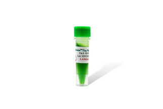 Taq DNA Polymerase - Molecular Designs Life Science Products