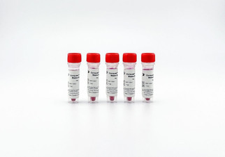 Conquest PCR Master Mix-1 D911-Mix1, 5 x 1000ul, 2X PCR master mix optimized for standard genomic DNA amplification and genotyping protocols, direct gel loading